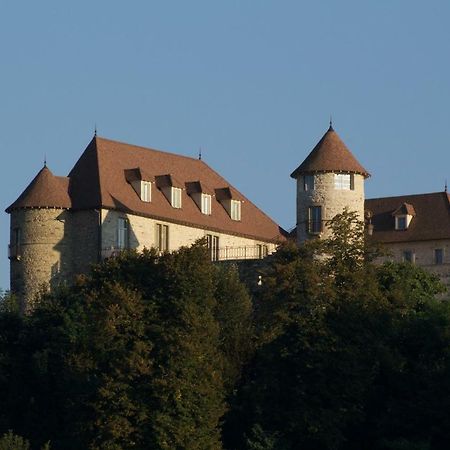 La Tour De Quinsonnas Bed & Breakfast Serezin-de-la-Tour Bagian luar foto