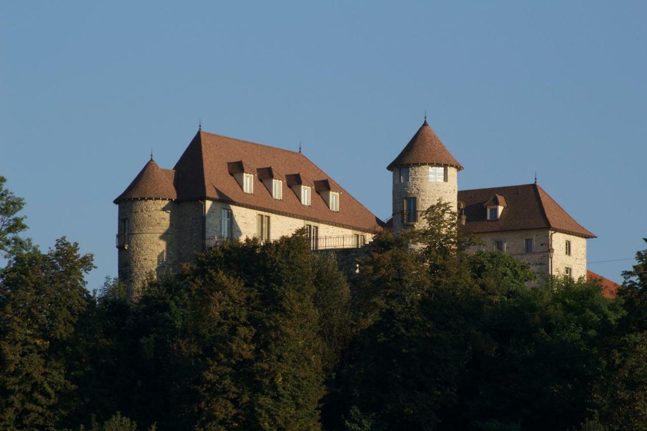 La Tour De Quinsonnas Bed & Breakfast Serezin-de-la-Tour Bagian luar foto